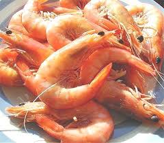 Cooked-ocean-king-prawns.jpg