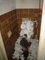 Diarrhea infested toilet.jpg