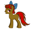 A pony? (If you're brave...)